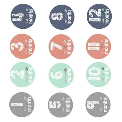  12 Pcs Baby Months Signs Album Stickers Monthly Age Photography Props - Image 1 of 4