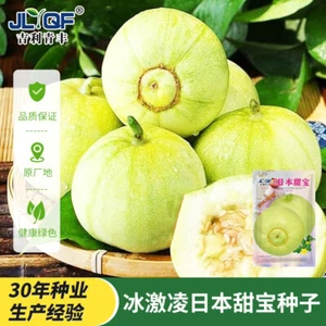日本甜宝甜瓜种子薄皮香瓜种子About 80 seeds of Japanese sweet melon - Picture 1 of 19
