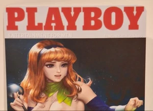 Hot Wheels {SCOOBY-DOO DAPHNE PLAYBOY PINUP} 70s Super Van !! Custom!! - Picture 1 of 7