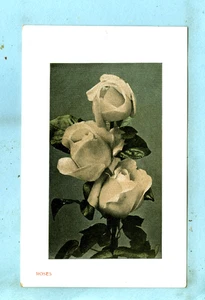 1º de 2 Marco en relieve, Rosas rosas recién abiertas... - Imagen 1 de 2
