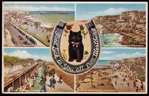 Black Cat Horseshoe Good Luck From Worthing Sussex Multi View Postcard - Picture 1 of 2