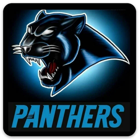 Carolina Panthers with Panther type Logo and Panthers name MAGNET Cover