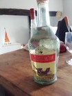Bouteille alcool de riz avec 2 lezards