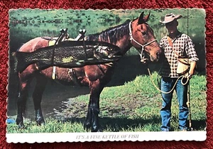 Vintage Fishing Postcard Gag Humor Huge Trout Affixed to Horse Proud Fisherman - Picture 1 of 4