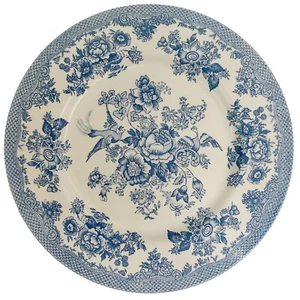 Royal Stafford Dinner Plate Asiatic Pheasant Powder Blue 11" Single Plate - Picture 1 of 4
