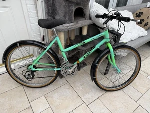 Raleigh Lizard Kids Girls Mountain Bike Excellent Condition Retro Old School - Picture 1 of 19