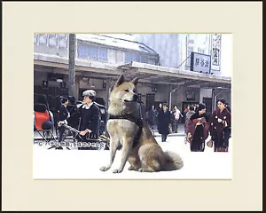 AKITA DOG AT JAPANESE RAILWAY STATION WAITS FOR MASTER DOG PRINT READY TO FRAME - Picture 1 of 1