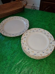 9 Suzanne Federal Shape Syracuse China Salad Plates 8" & 1 Serving Plate - Picture 1 of 4