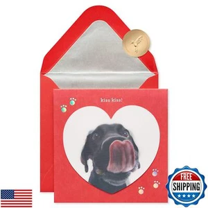 Papyrus Funny Valentines Day Card (Like You A Lot) - Picture 1 of 5