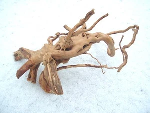 TWITY DRIFTWOOD 12-16 PULGADAS para ACUARIO/TERRARIO - Imagen 1 de 1