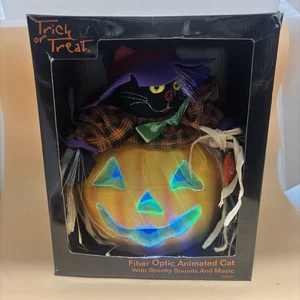 Glasfaser Jack O'Lantern animierte musikalische schwarze Katze Hexenhut Halloween Deko - Bild 1 von 8