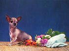 CHIHUAHUA CHARMING DOG GREETINGS NOTE CARD BEAUTIFUL DOG SITS WITH FLOWERS