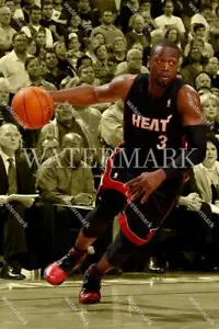 DQ718 Dwyane Wade Miami Heat 8x10 11x14 16x20 Spotlight Photo - Picture 1 of 1