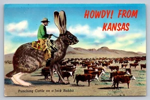 Postkarte Kansas Grüße Fantasy übertrieben Jack Kaninchen Rinder schlagen H878 - Bild 1 von 2