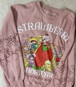 Strawberry Shortcake Pink Pullover Oversized Crewneck Sweater XS/Small - Picture 1 of 6