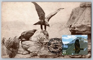 #4198b Alpine Tundra Golden Eagle FDC Maxi Card - Picture 1 of 2