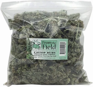 Catnip Buds Jumbo Bulk Bag 4 OZ, Green (FFV508) - Picture 1 of 12