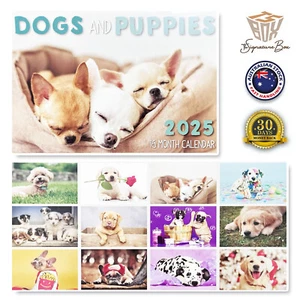 NEW 2025 Wall Calendar 16 Months DOGS & PUPPIES Wall Hanging Planner Organiser - Picture 1 of 1