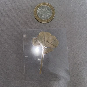 Real Genuine Rare 4 Four Leaf Clover Laminated Lucky Charm Bookmark Shamrock 37 - Picture 1 of 2