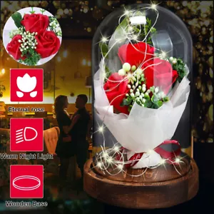 Konservierte Rose im Glas LED Ewige Frau Jahrestag Hochzeit Geburtstag Geschenk - Bild 1 von 12