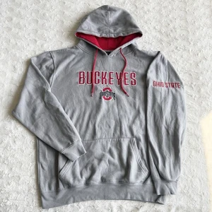 Ohio State Hoodie Sweatshirt Mens XL Gray Spell Out Buckeyes Embroidery Columbus - Picture 1 of 10