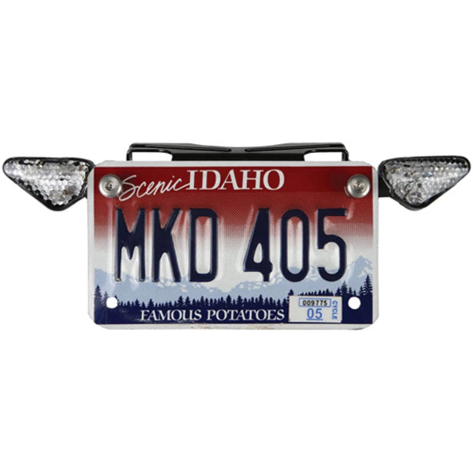 Powerstand Racing - Soporte de matrícula PSR 00-00163-02 Foto 1 de 4