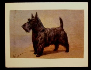 USA Scottie Dog Pet Sympathy Card w/envelope 5x4 Handmade - Picture 1 of 3