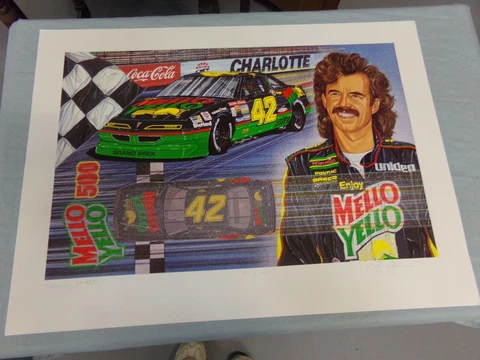 Mellow Yellow-Winning It All-Picture 29x21 Signed 451/1000 Kyle Petty #42 NASCAR Cover