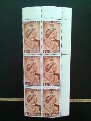 BERMUDA BLOCK OF 6 MNH STAMPS 1948 SIVER WEDDING 11/2d BROWN SG125. - Image 1 of 2