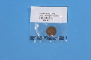 1907 P Indian Head Cent Average Circulation - Bild 1 von 2