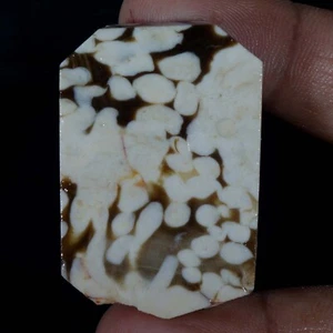 64.50 Cts Natural Australian Peanut Wood Jasper Rough Loose Gemstone Wire Wrap - Picture 1 of 5