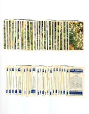CIGARETTE/TRADE/CARDS. Brooke Bond. Wild Flowers 3rd Series. (Set of 50). (1964)