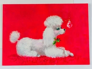 Unused Vintage Norcross Christmas Greeting Card White Poodle Blue Eyes Holly MCM - Picture 1 of 4