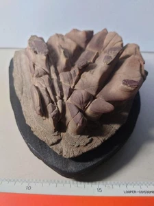 Japanese SUISEKI Stone 6.1 inch Width Natural Viewing Rock BONSAI Unique Shape - Picture 1 of 8