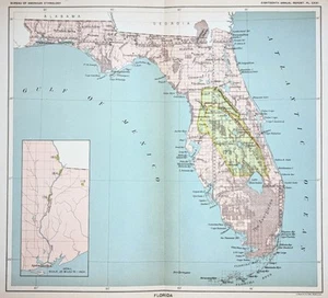 1899 FLORIDA Map ORIGINAL - CEDED INDIAN LANDS - NATIVE AMERICAN (11X10) - Picture 1 of 5