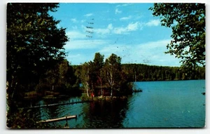 Postal Minnesota Scenic Paradise Cabin on Lake MN PM 1956 - Imagen 1 de 2