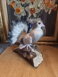 Vintage Capodimonte GROSSE Porzellan Taube und ZWEIG Skulptur Italien Figur - Bild 1 von 16