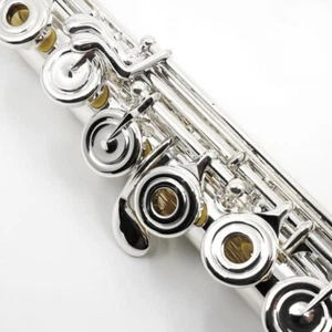 Flute-Amadeus by Haynes Model 680 - offset G,  B foot Gizmo key Perfect step up - Picture 1 of 5