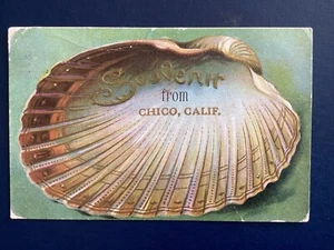 Postcard Souvenir from Chico California Shell embossed 1909 postmark C5 - Picture 1 of 2
