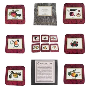 🌟Vintage Cloverleaf Pomology Coasters 6 Boxed Botanical Fruit Drawings - Picture 1 of 12