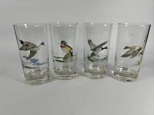 Vintage MCM 60s Ned Smith Game Birds High Ball Glasses 5.5" Set of 4 - Picture 1 of 10