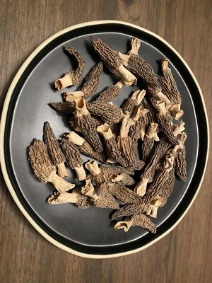 Dehydrated Morel Mushrooms, Hand Picked And Perfectly Dried.  1 Ounce Many Sizes - Image 1 of 2
