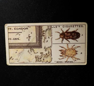 Wills Cigarette Card  Do You Know #4 What Book-Worms Are? - Picture 1 of 3
