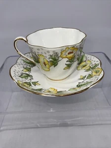 SALISBURY Tea Cup and Saucer Bone China Floral Painted Gold Trim - Picture 1 of 11