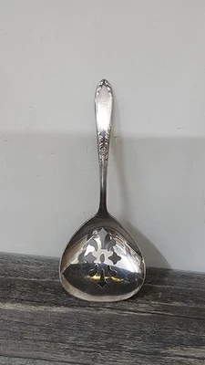 Margaret Rose by National Sterling Silver Co.  Nut Spoon  4 3/4" - Image 1 of 4