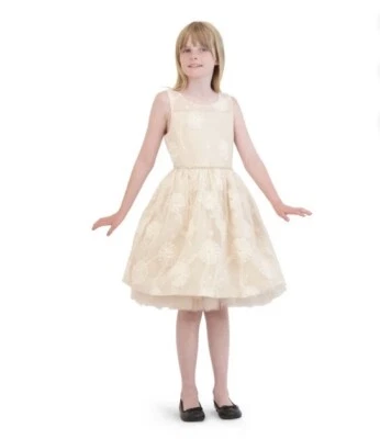 Vestidos de ocasión Kensie Girl champán, talla 8 Foto 1 de 3