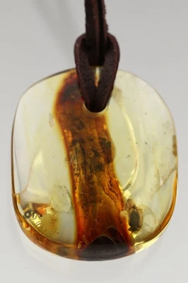 MARSH BEETLE & STALACTITE 正品波罗的海琥珀护身符吊坠 5.7 克 251203-5 — 第 1/4 张图片