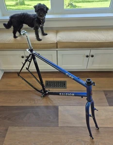 Raleigh USA C-40 Cross-Sport Frameset with Raleigh CM Chromoly Tubing - Picture 1 of 18