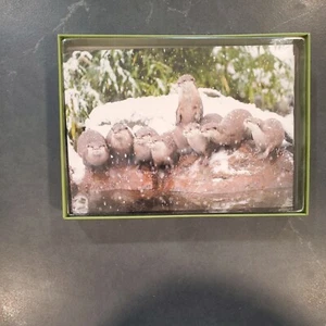 Juego de 12 tarjetas de vacaciones Sierra Club familia nutria en nieve granito SC3351 - Imagen 1 de 5