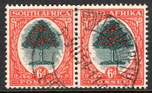 South Africa Stamp Scott #25, Orange Tree, Se-Tenant Pair, Used, SCV$42.50 (B) - Picture 1 of 1